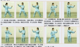 二十四式太极拳视频,领略传统武术魅力，体验身心和谐之道